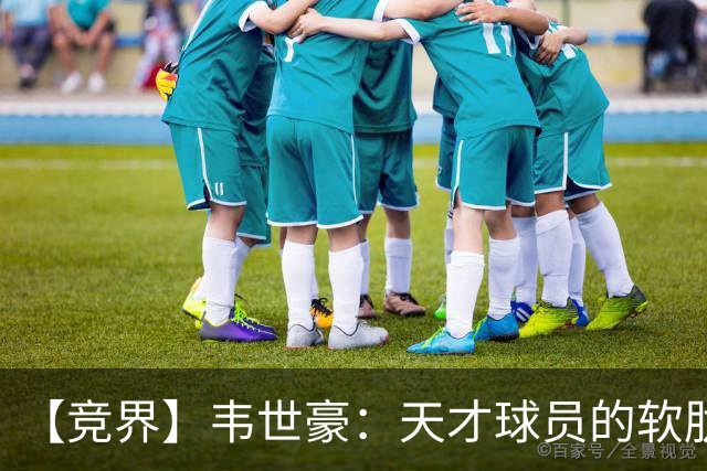 【竞界】韦世豪：天才球员的软肋 洪七公效应的外溢
